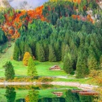 Murat