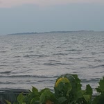 Mert