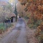 Sitki