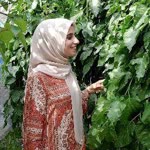 Ayşe