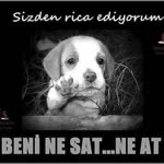 Elif