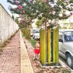 Pınar