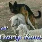 Sş Makinesi
