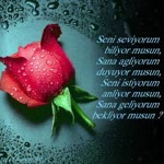 Selman