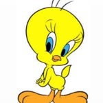 Ecem