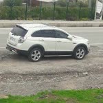 Halil