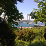 Şüheda