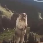 Aziz