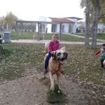 Ercan