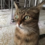 Zeynep