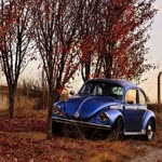 Umut