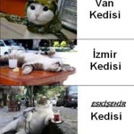 Rahmi