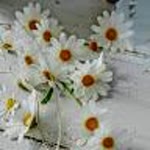 Elif