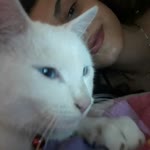 Asya