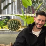 Zafer