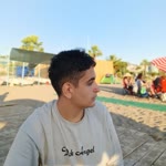 Sedef