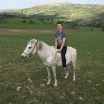 Aykut