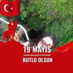 Nilüfer