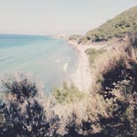 Şeyma