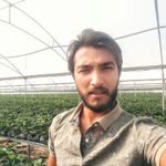 Ömer