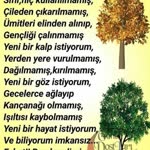 Tarkan