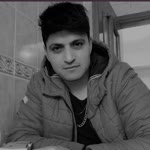 Şahin