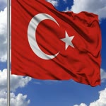 Erol