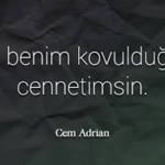 Alp