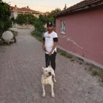 Semih