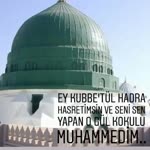Hafsa