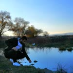 Şahin