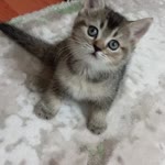 Profil fotoğrafı
