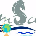 Msa