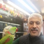 Mustafa