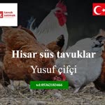 Yusuf