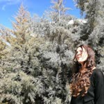 Bahar