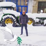 Murat