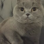 Zeynep