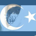 Ayhan