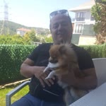 Murat