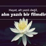 Aslıhan
