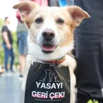 Emine