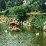 Gizem