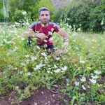 Haydar