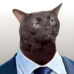 Berat