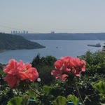 Elif