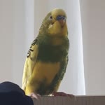 Kübralı