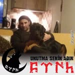 Şahin