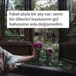 Zeynep