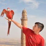 Sabri